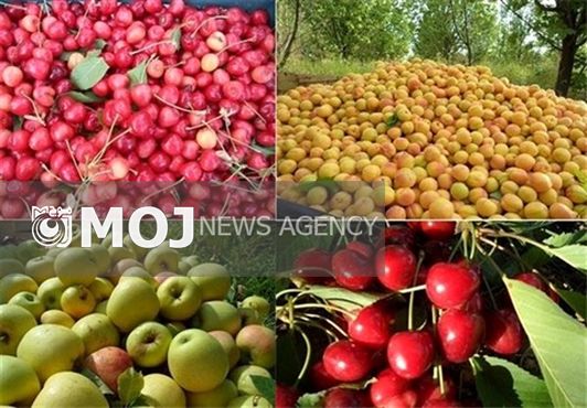 صادرات ۵ میلیارد دلاری محصولات کشاورزی از امسال