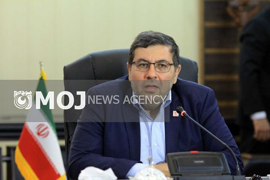 لزوم بازبینی دستورالعملها و آییننامههای برگزاری انتخابات هلال احمر