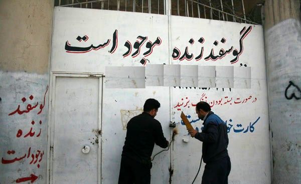 از آموزش همگانی متصدیان رستورانها تا سمپاشی جمعیت دامی و پلمپ مراکز غیرمجاز دام زنده