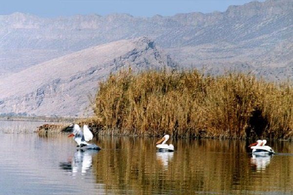 طرحهای ساماندهی تالابها به نتیجه مطلوبی نرسیده است