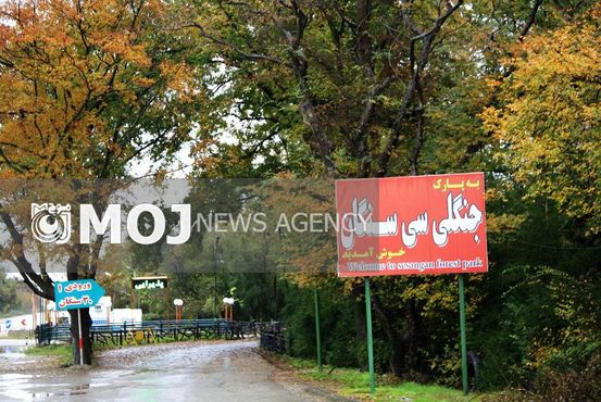 تصرف بخشی از ساحل و پارک جنگلی سیسنگان نوشهر