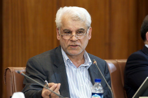 دولت امکان کمک بانک مرکزی به موسسات اعتباری را فراهم کند