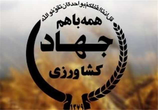 گزارش وزارت جهاد کشاورزی از خدمات ارائه شده به زلزله زدگان غرب کشور