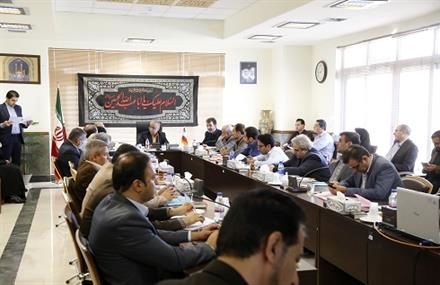ورود افراد سودجو افزایش قیمت فرآوردههای گوشتی را به دنبال داشته است