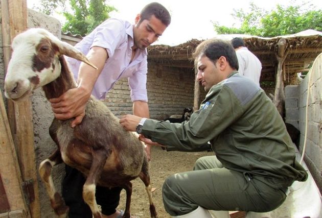 واکسیناسیون بیش از ۲۰ بز علیه بیماری آبله در پارسیان