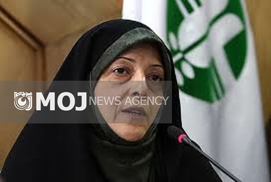 ابتکار: بنزین آلوده برای برخی در دولت قبل منافعی داشت / همسرم را تهدید کردند!