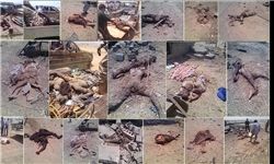 نفرین یمن تا سالها گریبانگیر عربستان خواهد بود