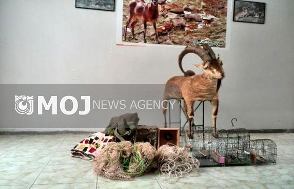 دستگیری ۴ متخلف شکار غیر مجاز در ازنا