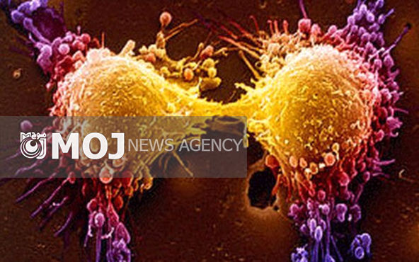 مداخله غیرقانونی در حوزه درمان سرطان های غیر خونی