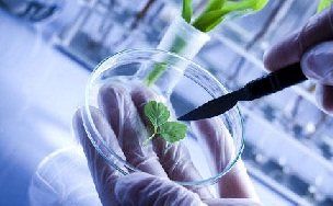 طرح تقسیم کار ملی زیستفناوری اجرایی میشود