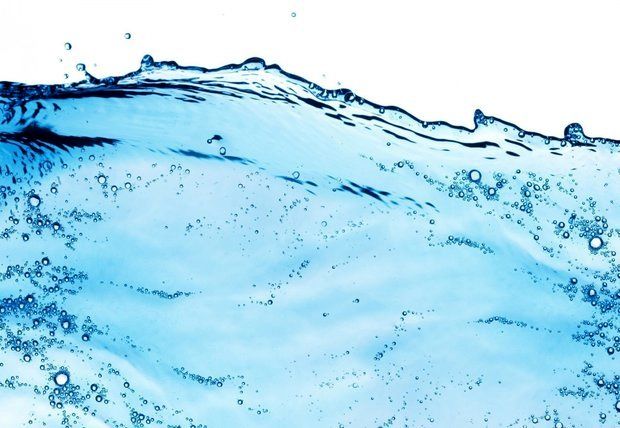 مرگ دشتهای بحرانی نزدیک است