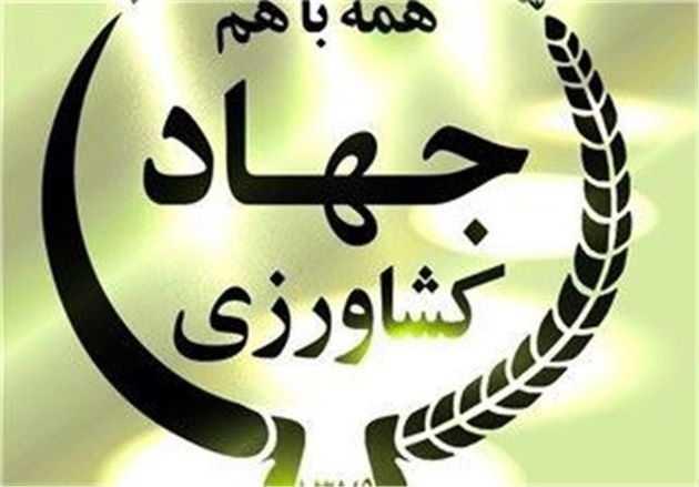 همکاری های ایران و آلمان در تجارت محصولات باغی و تامین بذرهای هیبرید گسترش می یابد