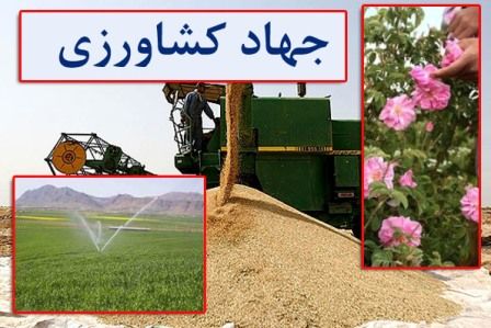 پرداخت تسهیلات 30 میلیارد و 20 میلیون تومان برای راهاندازی واحدهای راکد
