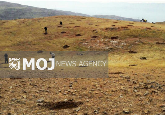 عملیات کپه کاری در مراتع قشلاقی شهرستان رومشکان آغاز شد