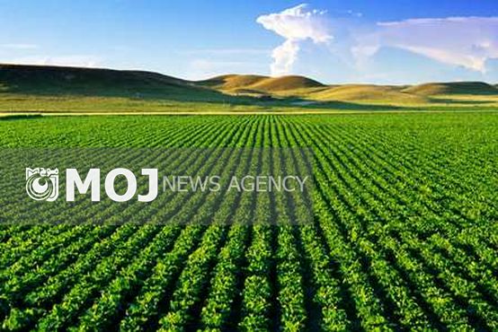 ساخت پهپاد برای نابودی آفات زمین های کشاورزی