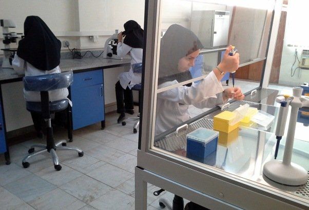 برخورد غیر علمی نظام پزشکی با فارغالتحصیلان میکروبیولوژی