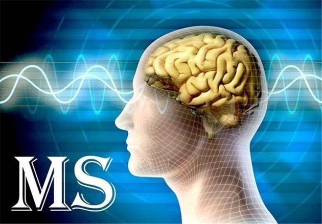 سرپرست دانشگاه تحصیلات تکمیلی صنعتی و فناوری پیشرفته منصوب شد