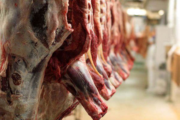 آغاز توزیع گوشت قرمز یارانه ای در هرمزگان