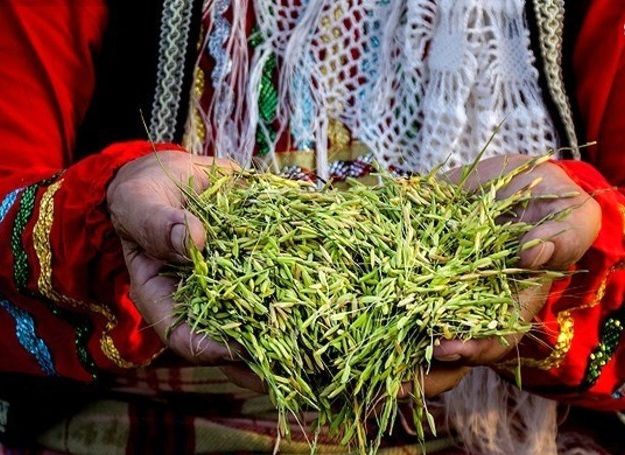 جشنواره جوکول در پیاده راه فرهنگی رشت برگزار شد