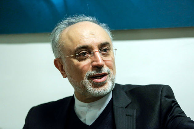 صالحی: اگر ملتی سرنوشت خود را در دست نگیرد تاریخ قضاوت بیرحمانهای برای آن ملت خواهد داشت