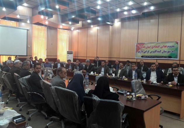 ۴۹ درصد واحدهای تولیدی استان گلستان نیمهفعال است/ دولت حمایتی از سرمایهگذار ندارد