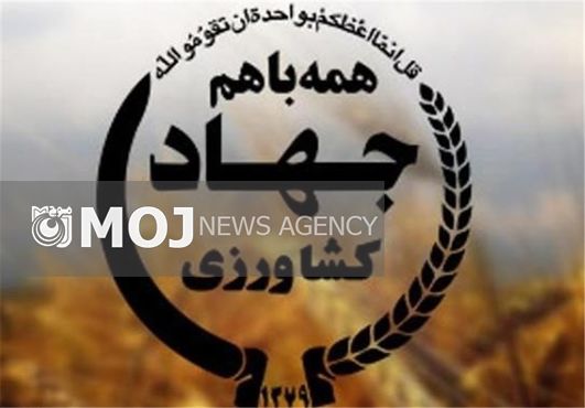 ۲ هزار و ۴۳۶ پروژه کشاورزی در هفته دولت افتتاح میشود
