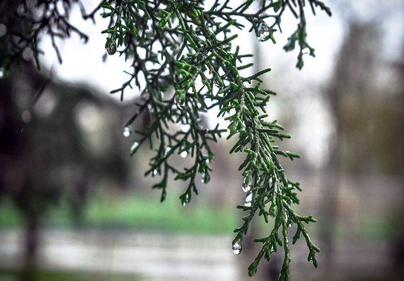 آسمان بارانی در غرب و جنوب استان اصفهان/ امواج ناپایدار ضعیف در راه است