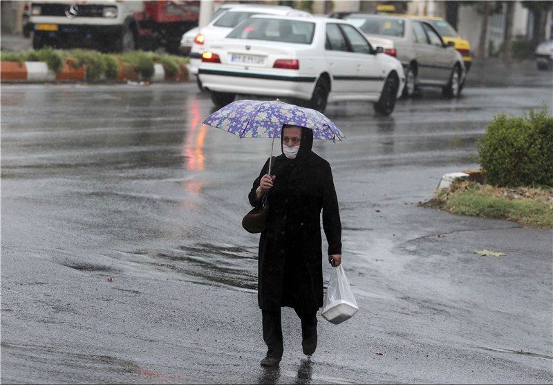 رشد 99 درصدی بارنگیهای کرمانشاه در بلندمدت
