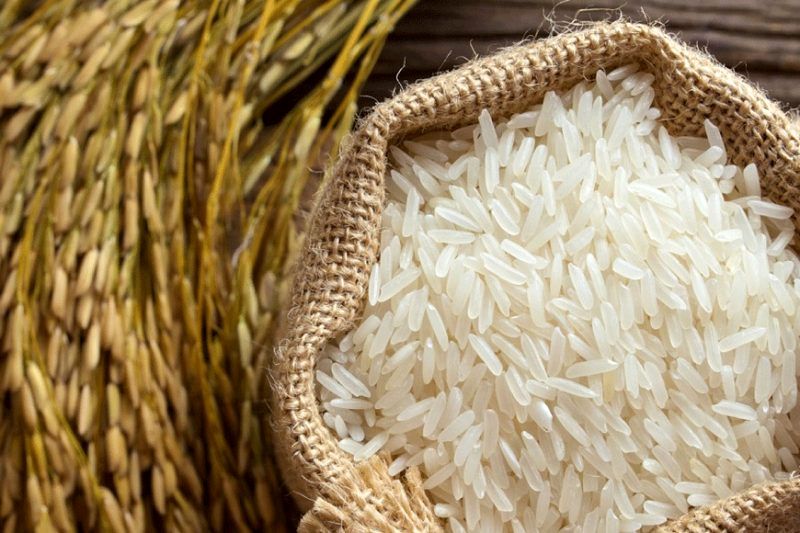 کنترل واردات برنج در راستای حفظ حقوق کشاورزان