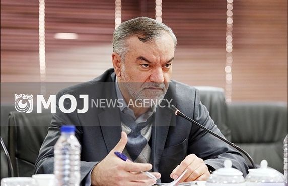 بر لزوم هم افزایی با دولت برای تنقیح قوانین تاکید داریم