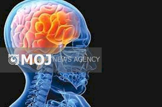 پیامک ریتم مغز را بهم میزند
