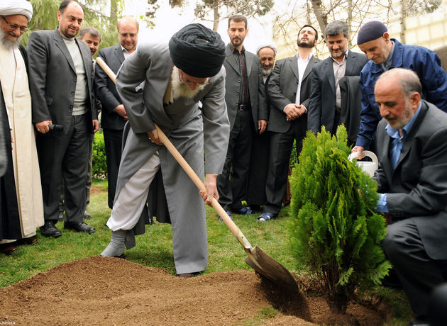 اعلام همکاری شماری از گرگانیها برای کمک به متهم محکوم به کاشت درخت در گرگان
