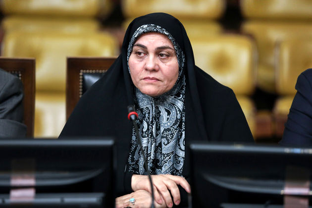 سعیدی: دولت باید در جذب سرمایهگذاری خارجی سرعت بیشتری از خود نشان دهد