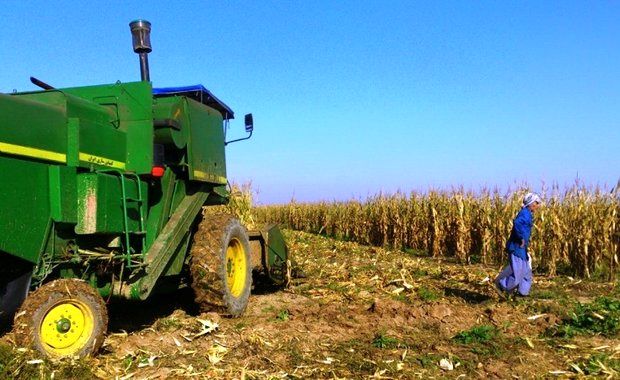 37 میلیارد تومان از تسهیلات خط 4 مکانیزاسیون در سال 95 جذب شد