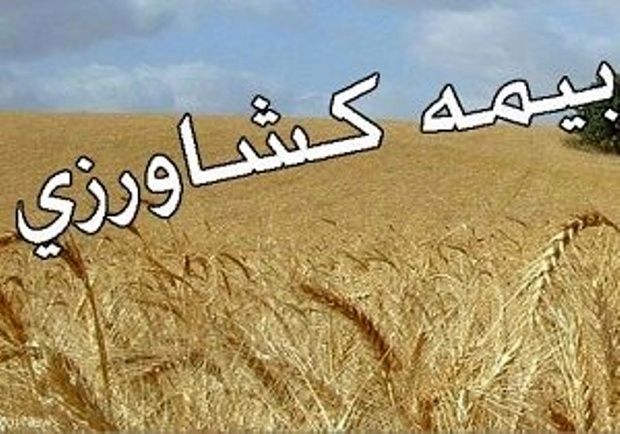 محصولات کشاورزی کرمانشاه تا پایان دی فرصت بیمه دارند