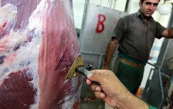 گوشتهای خیابانی میتوانند بزرگترین عامل شیوع کریمه کنگو باشند