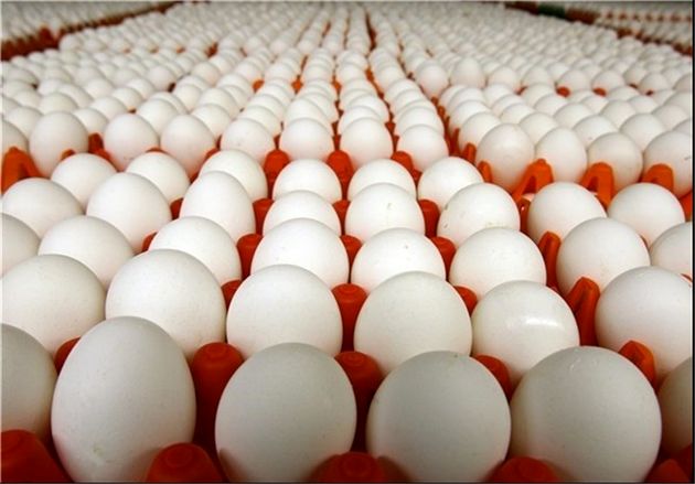 قیمت تخم مرغ به حدود شانه ای 13 هزار تومان رسید