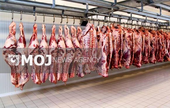 تعرفه واردات گوشت قرمز افزایش یابد