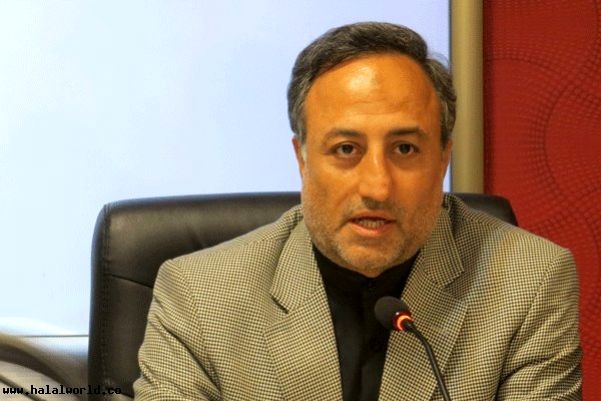 تغییر در استاندارد خودرو نیازمند مصوبه جدید دولت است