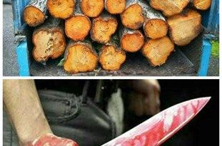 مجروح شدن مأمور منابعطبیعی با سلاح سرد توسط قاچاقچیان چوب
