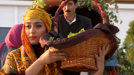 سه گانه محیط زیستی بر پردهی «هنر و تجربه»