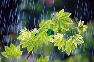 ضرورت مدیریت مصرف آب با توجه به کاهش بارشهای بهاری