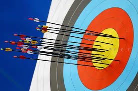 غلامرضا پارسا نایب رئیس فدراسیون تیروکمان شد