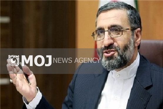 دادسرا مجاز به انجام تحقیق اولیه در پرونده ستایش نیست