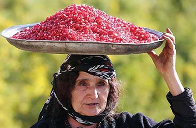 باغداران لرستان از نبود صنایع تبدیلی و تکمیلی رنج میبرند