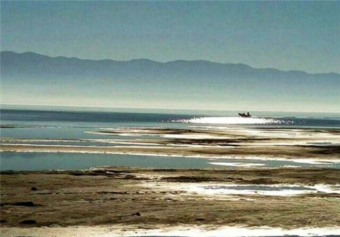 بسیج رسانهای برای نجات خلیج گرگان تشکیل شود