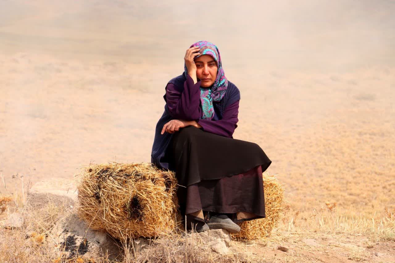 مهمان جنگ