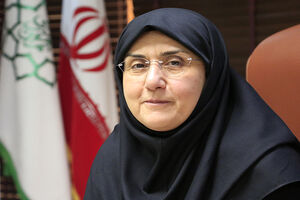 ایمن سازی فضاهای شهری برای حضور بانوان در حال اجراست