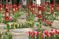 یادواره یک هزار و ۲۰۰ شهید در مسجدسلیمان برگزار میشود