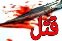 سرقت و خصومت شخصی اولین اطلاعات به دست آمده